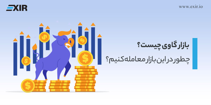 بازار گاوی  یا بول مارکت چیست؟ چطور در آن معامله کنیم؟