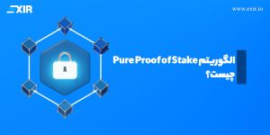 الگوریتم Pure Proof of Stake چیست؟