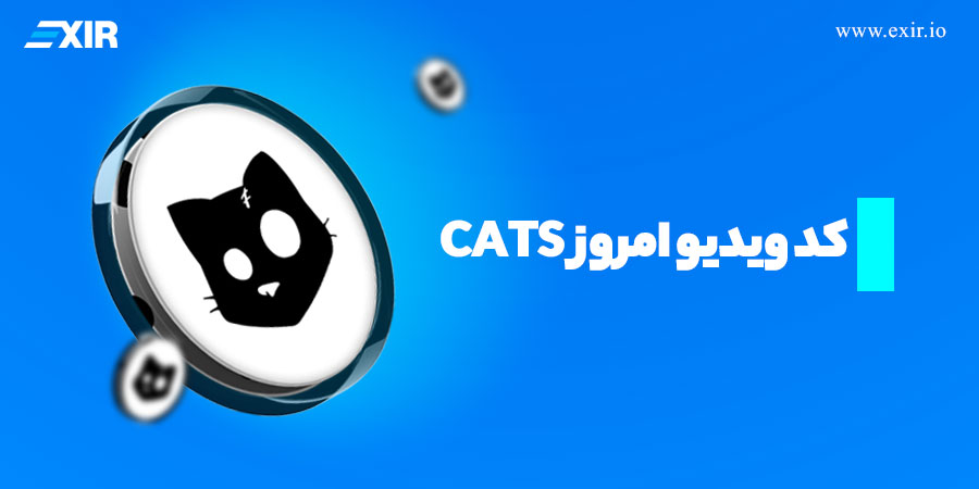 کد ویدیو امروز Cats 😸 کد تمامی ویدیوهای کتز