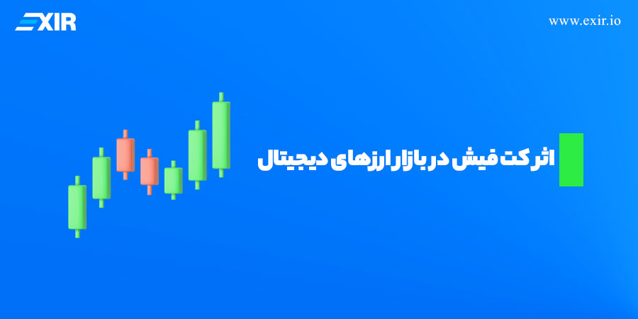 اثر کت فیش در بازار ارزهای دیجیتال: چگونه بحران‌ها به بهبود منجر می‌شوند؟