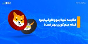 بررسی تفاوت‌ها و شباهت‌های شیبا اینو و فلوکی اینو