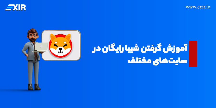 آموزش گرفتن شیبا رایگان در سایت‌های مختلف