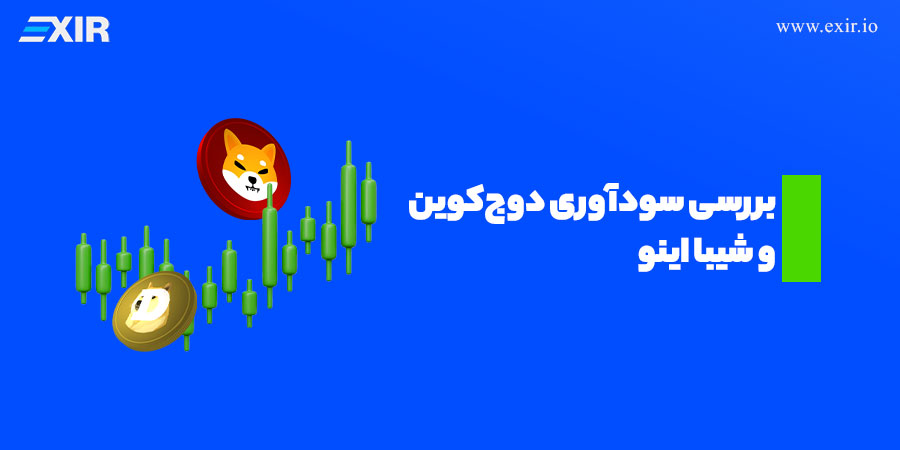 دوج کوین بخریم یا شیبا اینو؟ کدام یک سود بیشتری دارد؟